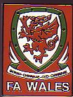 Pin Fussballverband Wales