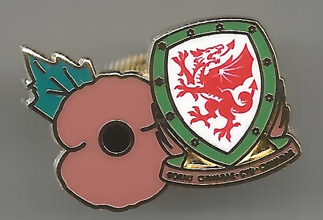 Badge Football Association Wales 5